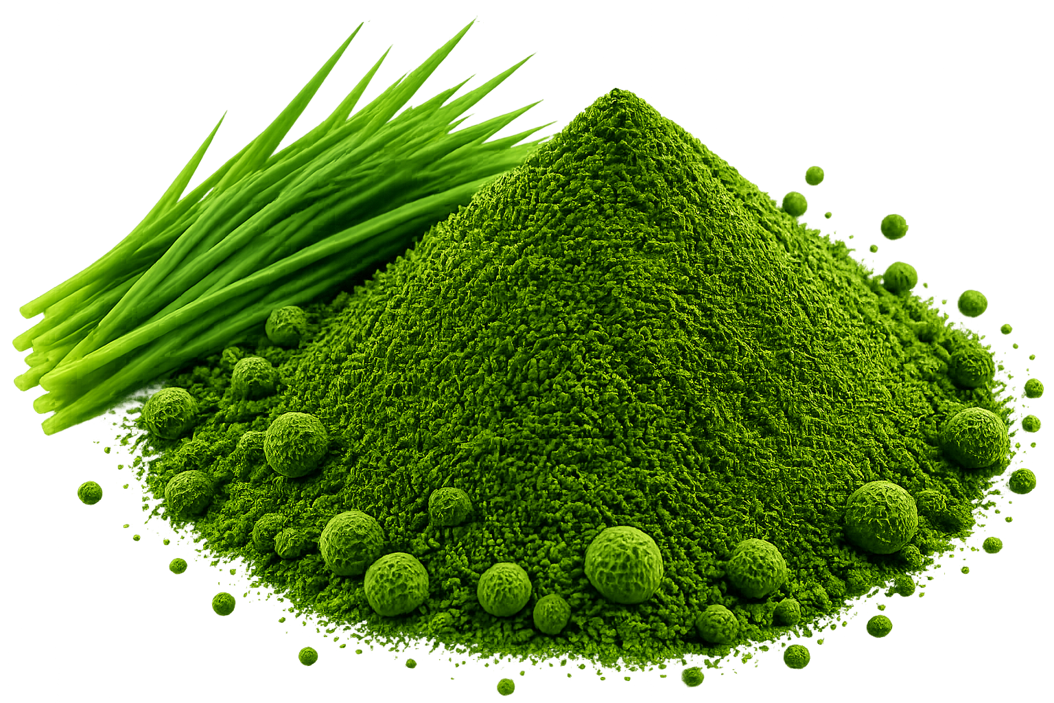 Wheatgrass