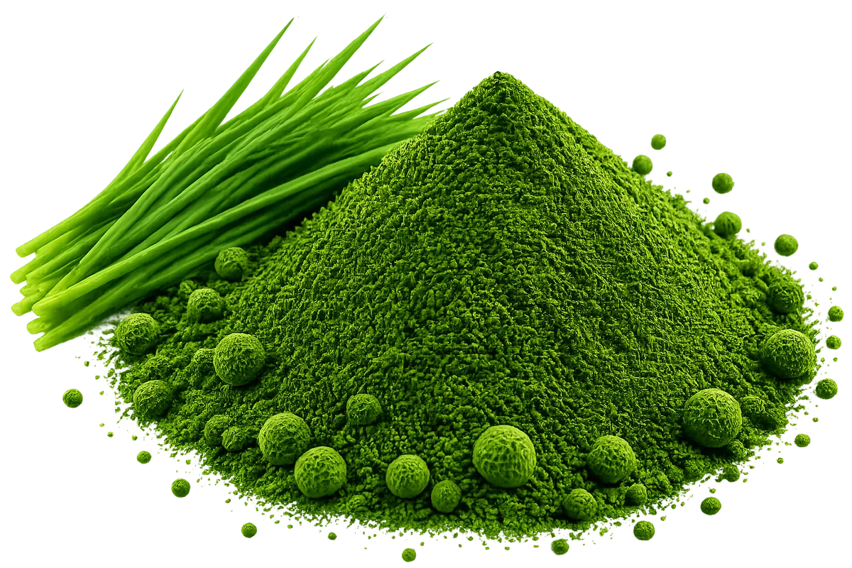 Wheatgrass